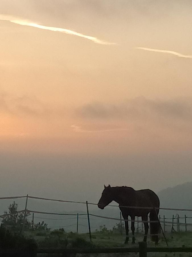 Domaine De La Poyat Bed and Breakfast Légny Εξωτερικό φωτογραφία